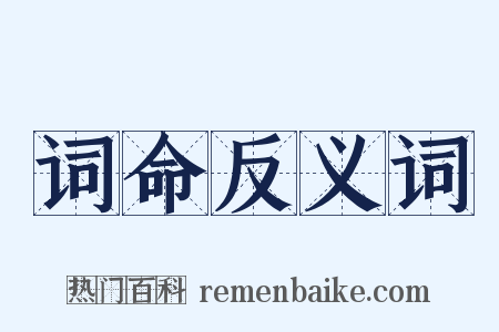 词命反义词是什么意思的图片